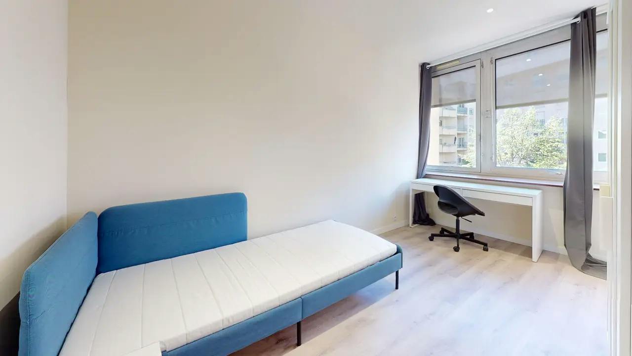 Private room in Rue Victor Lagrange, Lyon (1479533) ROOM