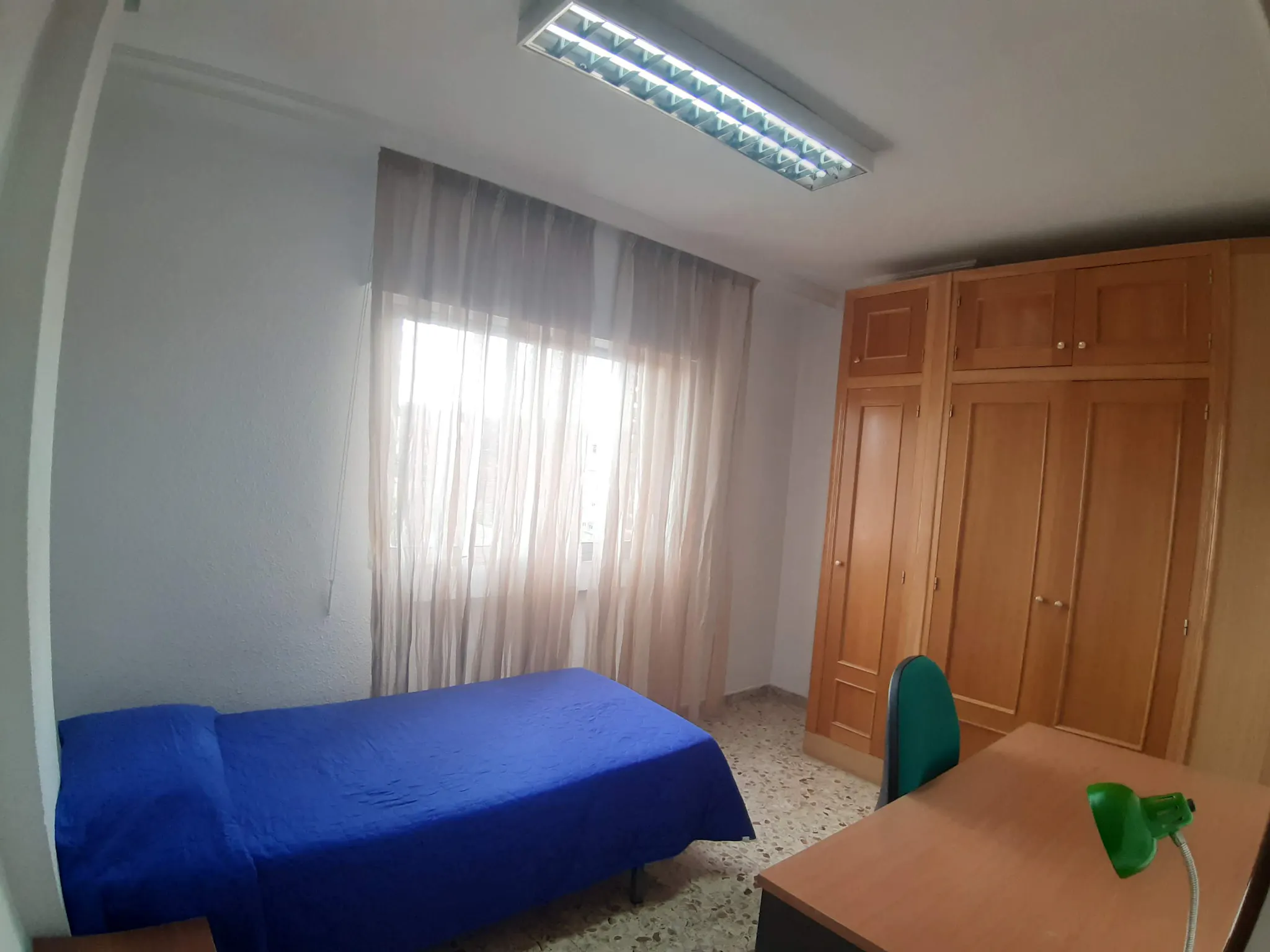 Private room in Calle Ricardo Zamora, Murcia (1479566) ROOM 2