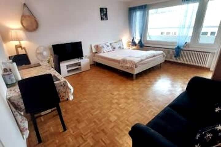 Leepüntstrasse, Dübendorf Dübendorf