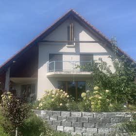 Дом сдается в аренду за 2 800 CHF в месяц в Wünnewil-Flamatt, Steinackerstrasse