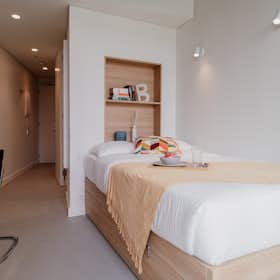 Private room for rent for €789 per month in Porto, Rua Manuel Pacheco de Miranda