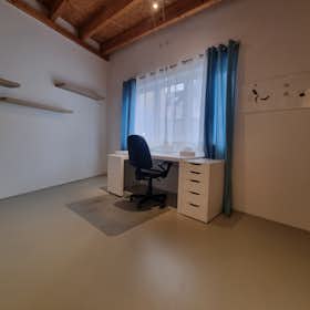 Private room for rent for €1,000 per month in Frankfurt am Main, Kurfürstenstraße