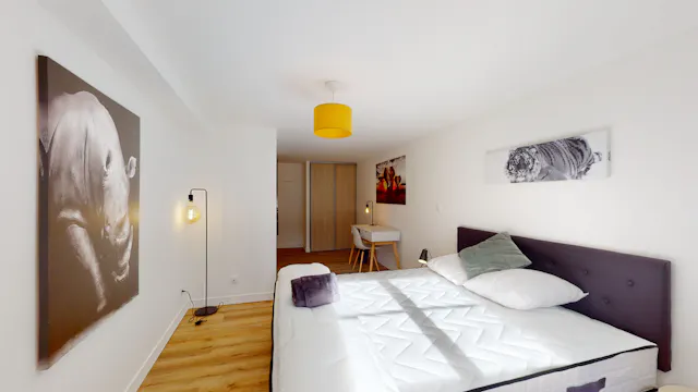 Private room in Boulevard Victor Hugo, Nantes (1480412) room image 2