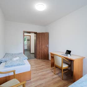 Mehrbettzimmer zu mieten für 6.500 CZK pro Monat in Ostrava, Riegrova