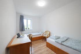 Habitación compartida en alquiler por 6500 CZK al mes en Ostrava, Riegrova