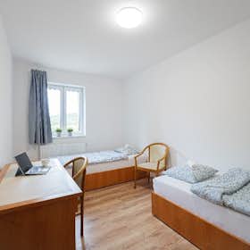 共用房间 正在以 €260 的月租出租，其位于 Ostrava, Riegrova