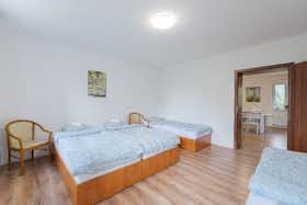 Mehrbettzimmer zu mieten für 5.500 CZK pro Monat in Ostrava, Riegrova