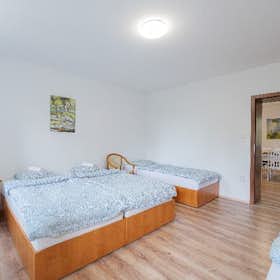 Mehrbettzimmer zu mieten für 5.500 CZK pro Monat in Ostrava, Riegrova