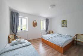 Общая комната сдается в аренду за 5 501 CZK в месяц в Ostrava, Riegrova