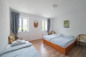 Общая комната сдается в аренду за 5 500 CZK в месяц в Ostrava, Riegrova