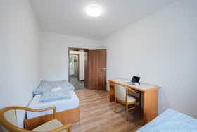 Отдельная комната сдается в аренду за 9 003 CZK в месяц в Ostrava, Riegrova