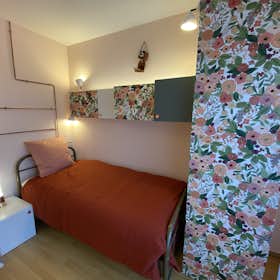 Private room for rent for €490 per month in Strasbourg, Rue de Boston
