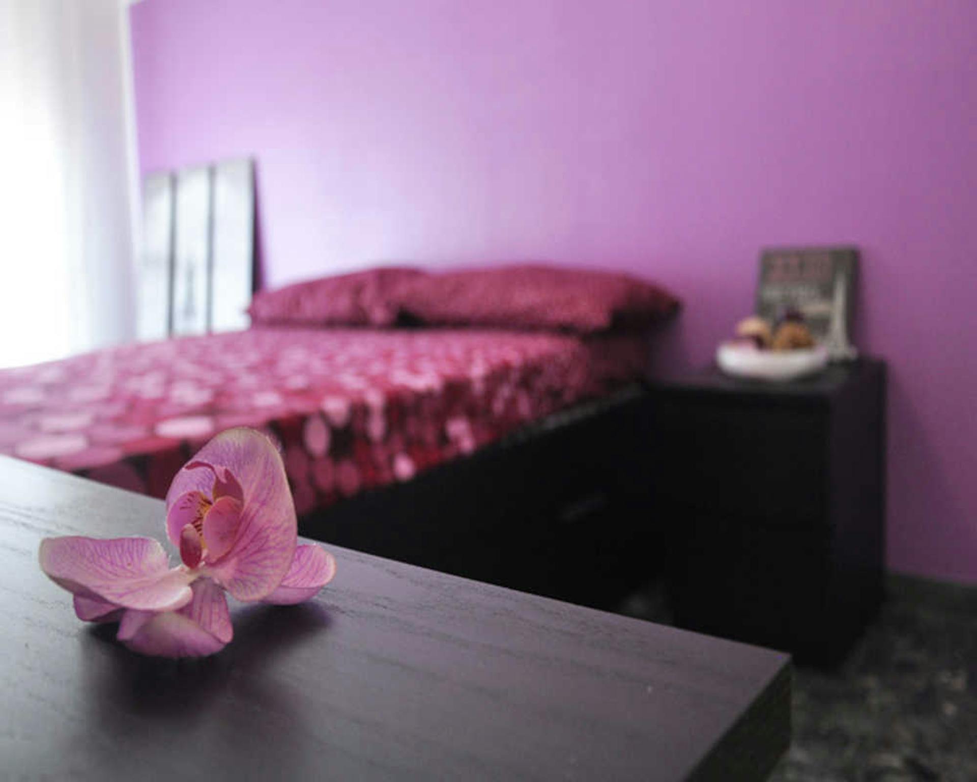 Via Carlo Pisacane, Milan preview