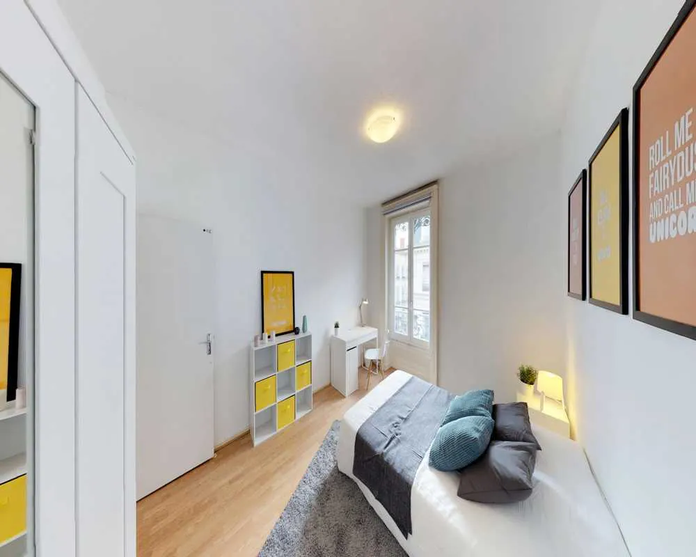 Private room in Rue du Garet, Lyon (1481196) ROOM 3