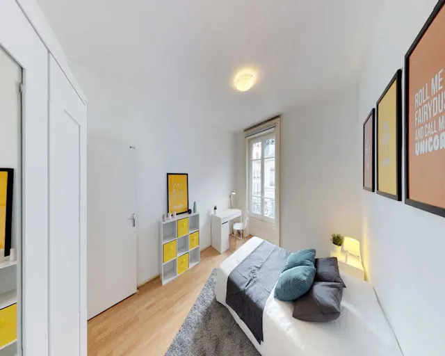 Private room in Rue du Garet, Lyon (1481196) room image 8