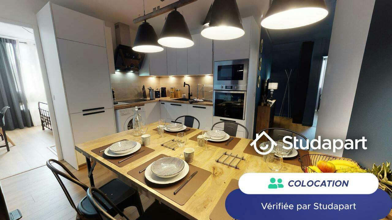 Private room for rent on Rue Philippe Fabia, Lyon - Plus
