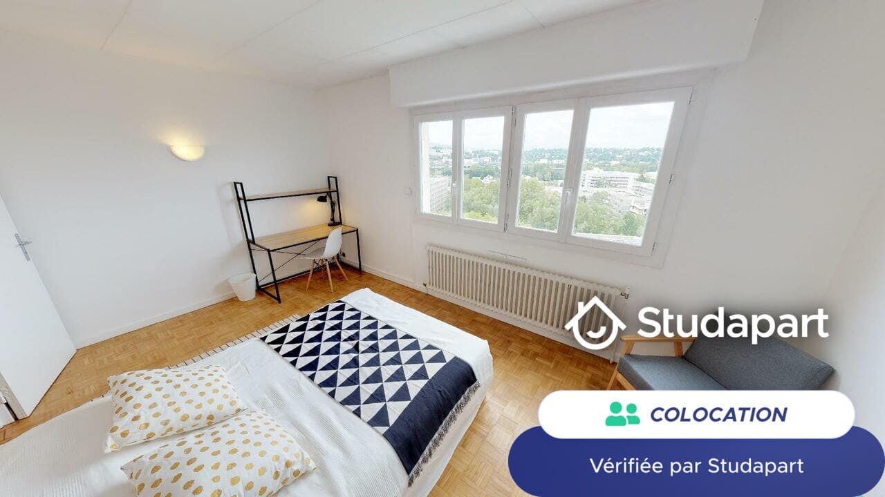 Private room for rent on Avenue Condorcet, Villeurbanne