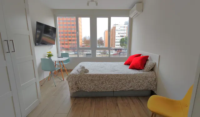 Apartment in Paseo de la Castellana, Madrid (1482172) room image 1