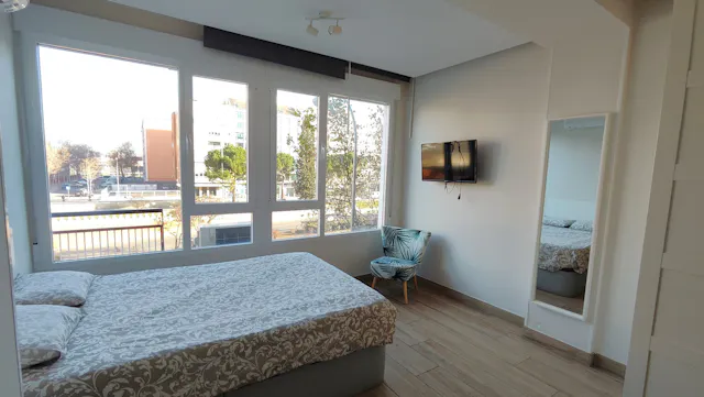 Apartment in Paseo de la Castellana, Madrid (1482178) room image 1