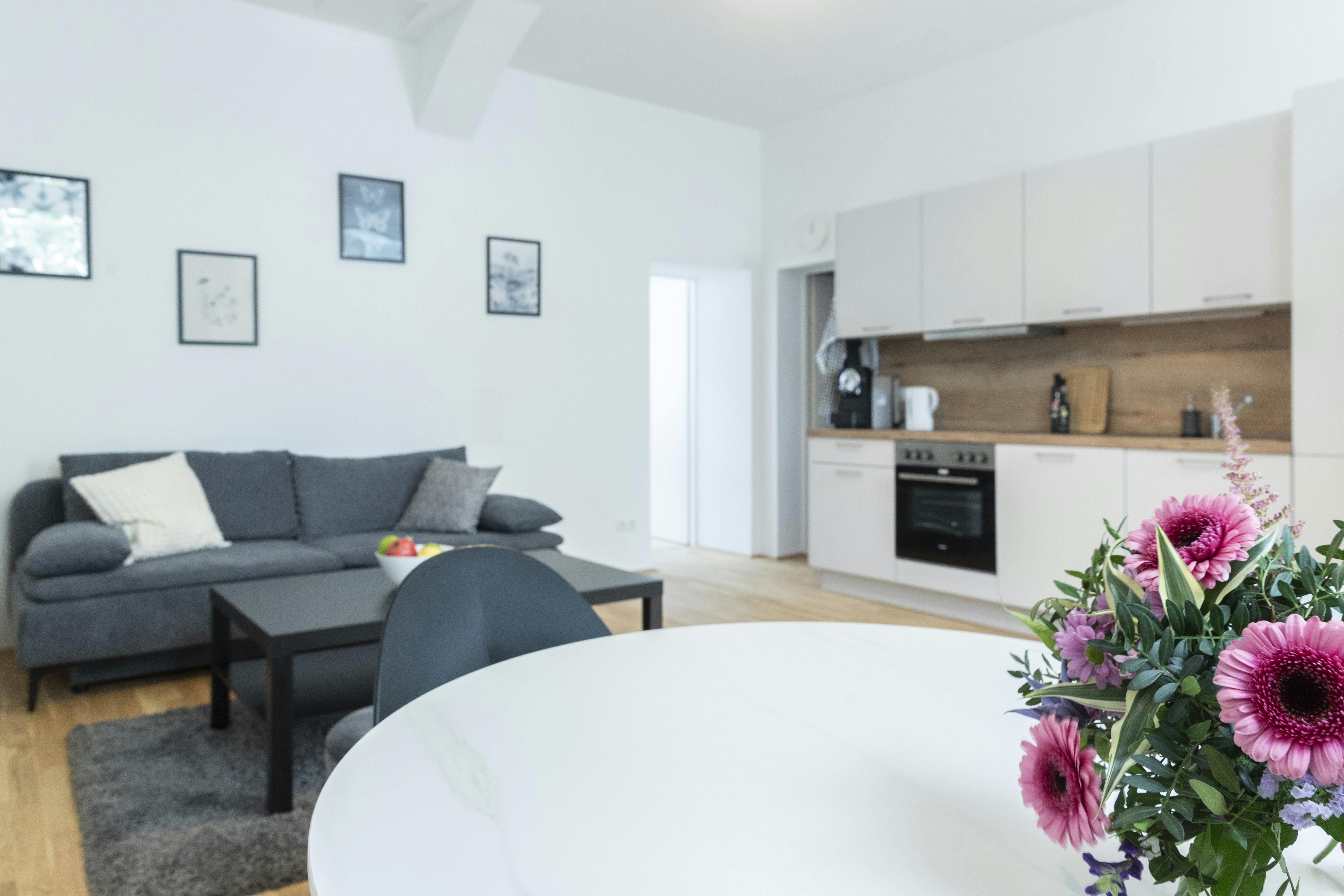 Johannitergasse, Vienna preview