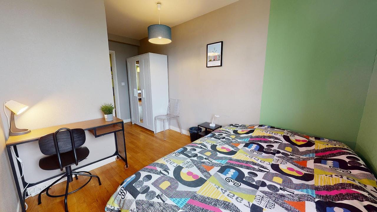 Rue Garibaldi, Lyon preview