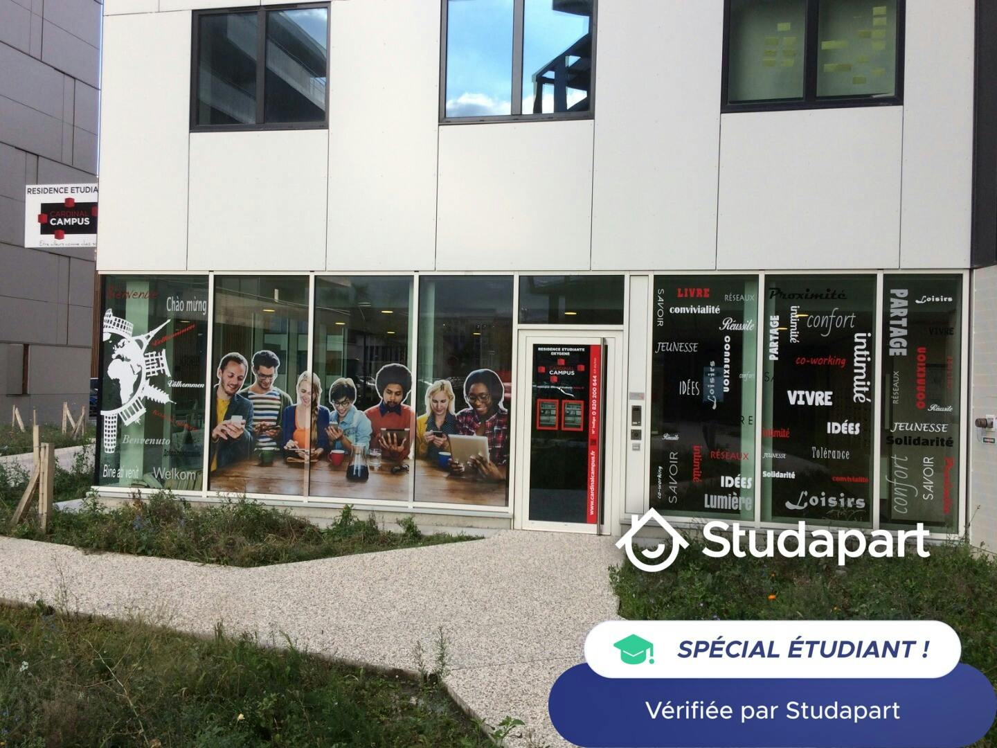 preview gallery tile