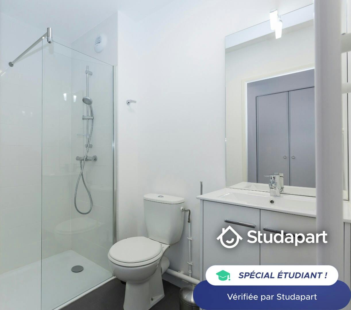Private room for rent on Rue du Faubourg des Postes, Lille - Plus