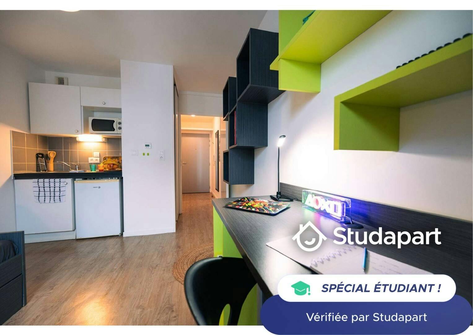 Private room for rent on Place François II, Nantes - Vue 5