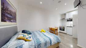 单间公寓 正在以 £1,427 的月租出租，其位于 London, Blenheim Gardens