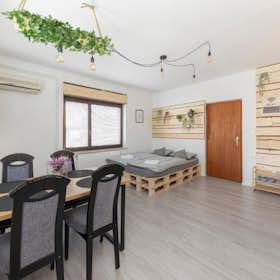 Mieszkanie do wynajęcia za 900 € miesięcznie w mieście Ljubljana, Cesta na Brinovec
