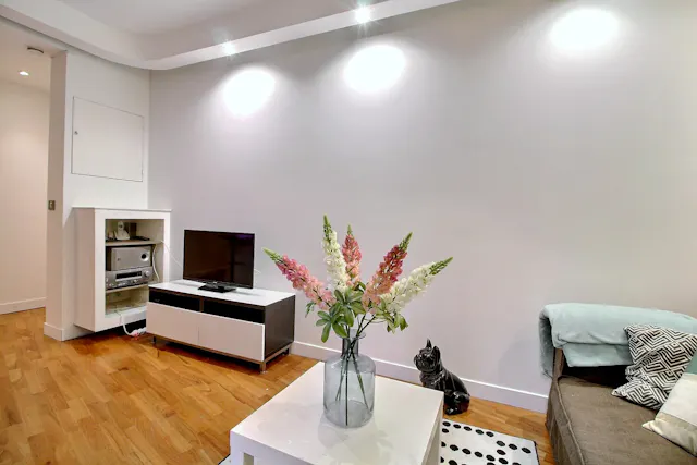 1-Bedroom Apartment in Rue Marie et Louise, Paris (1483224) room image 1