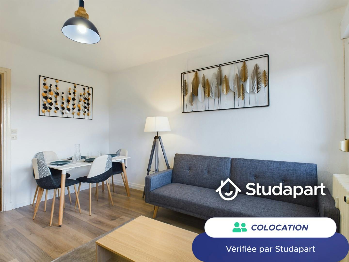 Приватна кімната за оренду для 500 EUR на місяць у Thionville, Cours de Lattre de Tassigny