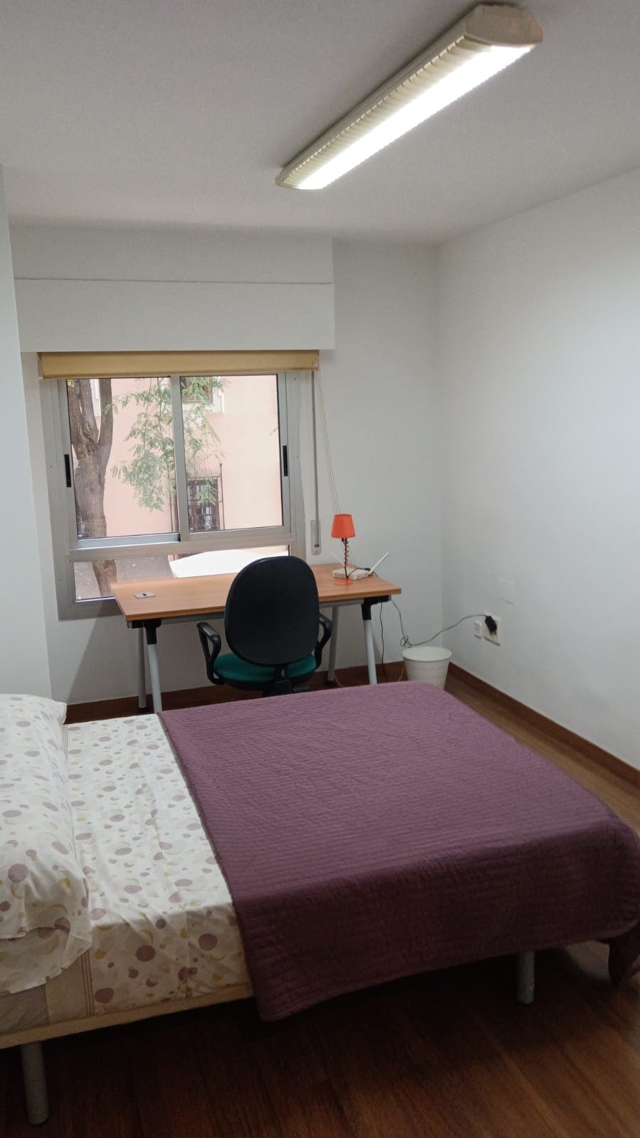 Paseo Menéndez Pelayo, Murcia preview