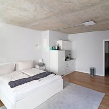 Studio for rent for 1.350 € per month in Bremen, Bürgermeister-Smidt-Straße