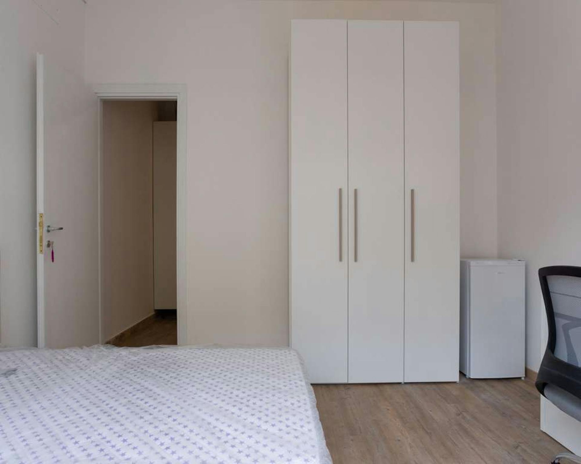 Via Antonio Stradivari, Milan preview