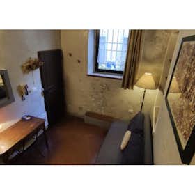 Appartement for rent for € 1.200 per month in Florence, Borgo San Frediano