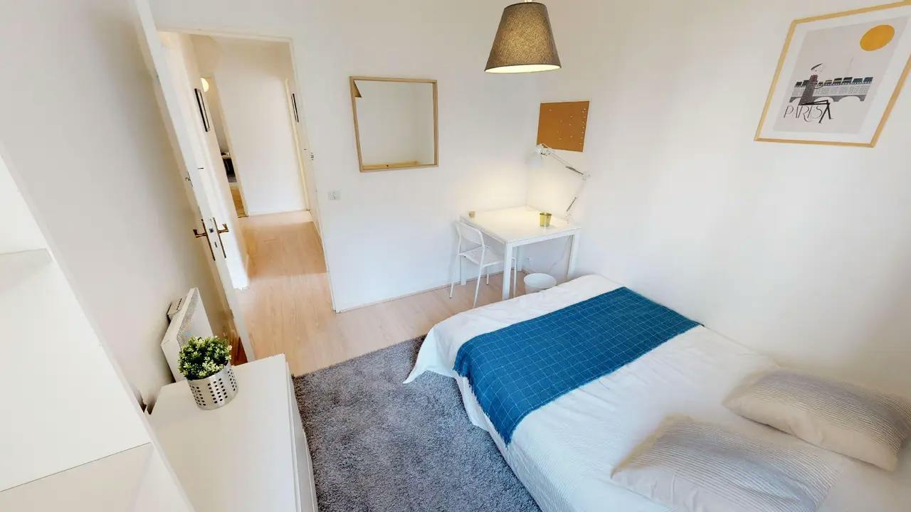 Private room for rent on Rue des Trois Pierres, Lyon - Vue 4