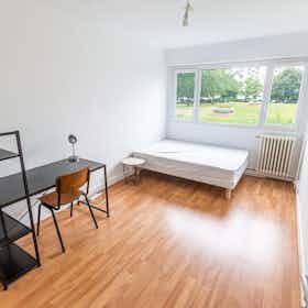 Habitación privada en alquiler por 470 € al mes en Angers, Rue du Marquis de Turbilly