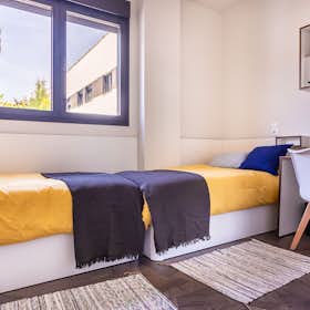 Stanza privata for rent for 750 € per month in Sevilla, Calle Tramontana