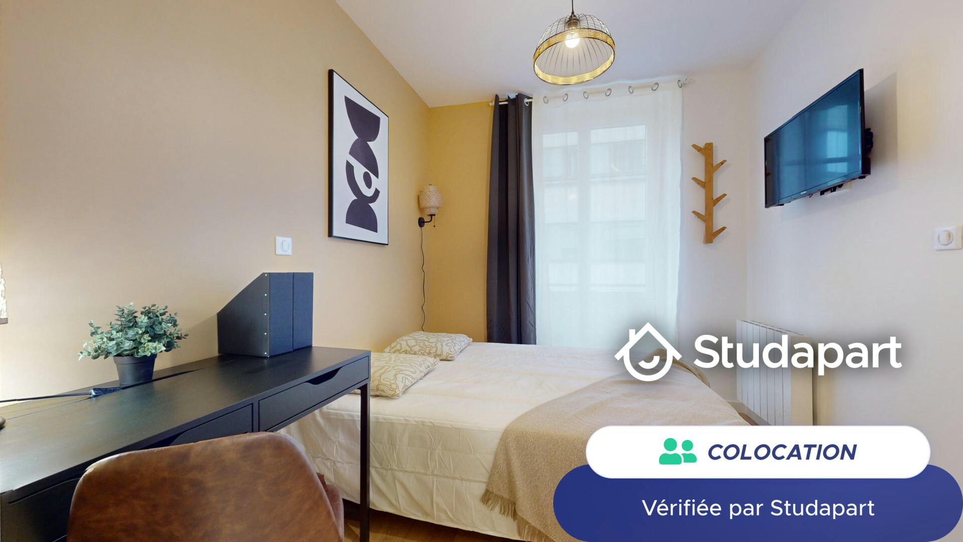 Private room for rent on Rue du Professeur Paul Sisley, Lyon - Widok 5