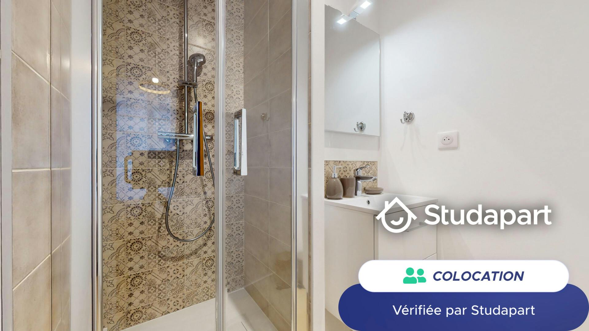 Private room for rent on Rue du Professeur Paul Sisley, Lyon - Widok 6