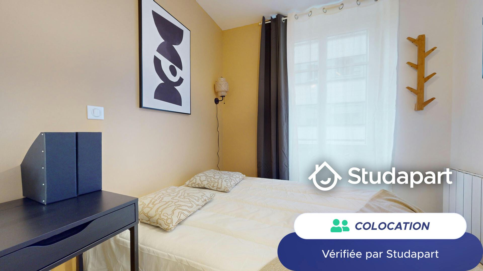 Private room for rent on Rue du Professeur Paul Sisley, Lyon - Widok 4