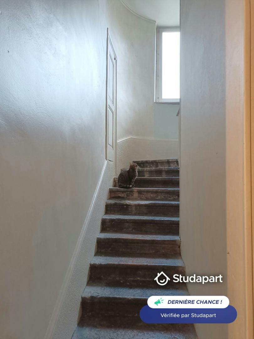 Private room for rent on Rue Imbert Colomès, Lyon - Plus
