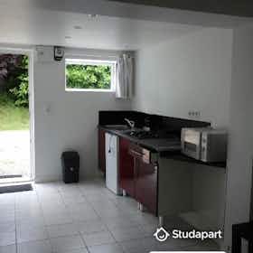 Квартира сдается в аренду за 430 € в месяц в Fondettes, Quai des Bateliers