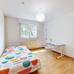 Privé kamer for rent for € 485 per month in Colmar, Rue du Galtz