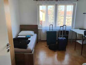共用房间 正在以 €380 的月租出租，其位于 Ljubljana, Rozmanova ulica