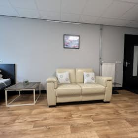 Studio for rent for 420 € per month in Veenendaal, Schrijverspark
