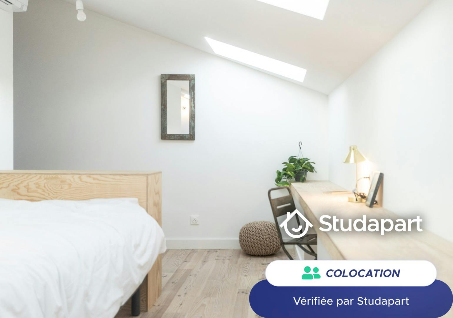 Private room for rent on Rue Tanesse, Bordeaux - Plus