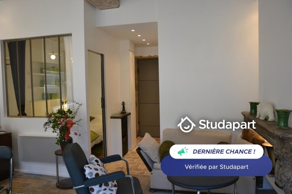 Apartment for rent on Rue Chavanne, Lyon