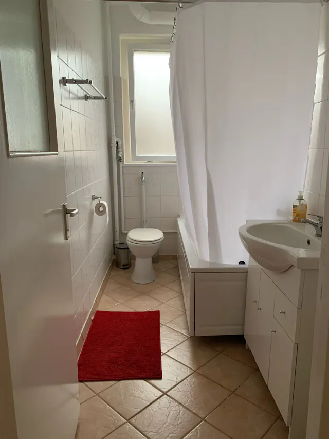 1-Bedroom Apartment in Jeverstraße, Berlin (1486978) room image 2
